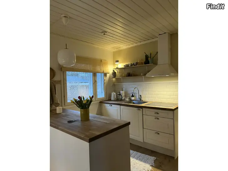 Vuokrataan Erillistalo