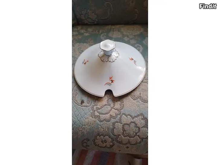 Säljes Arabia kauris kansi