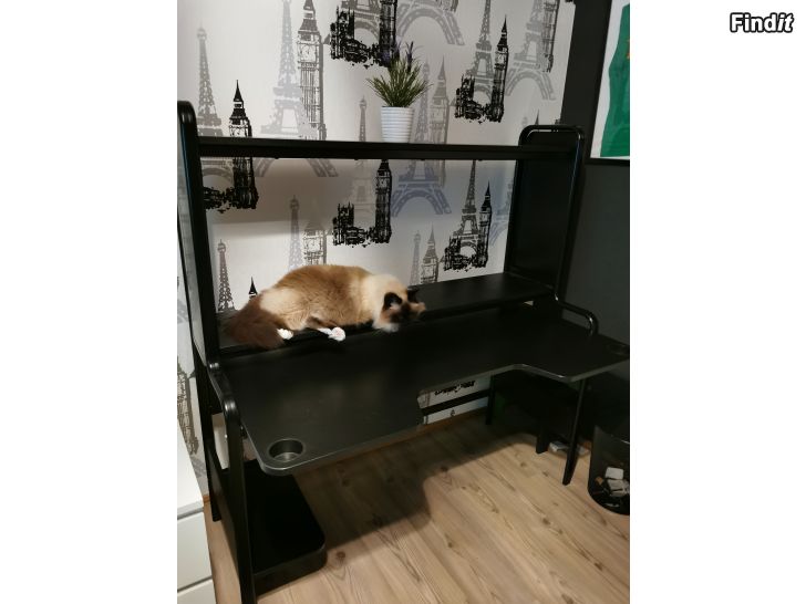 Säljes Fredde Ikea data/skrivbord