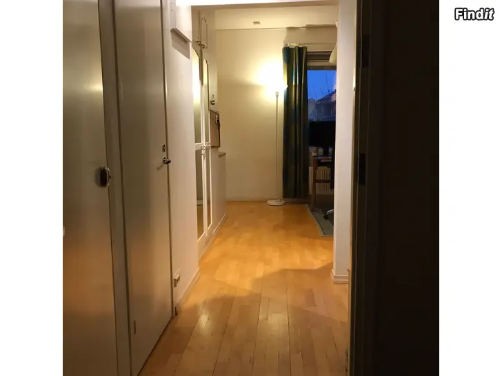 Uthyres Annetaan vuokralle yksiö lähellä Palosaaren kouluja, mutta rauhallisessa paikkaa, 515/kk