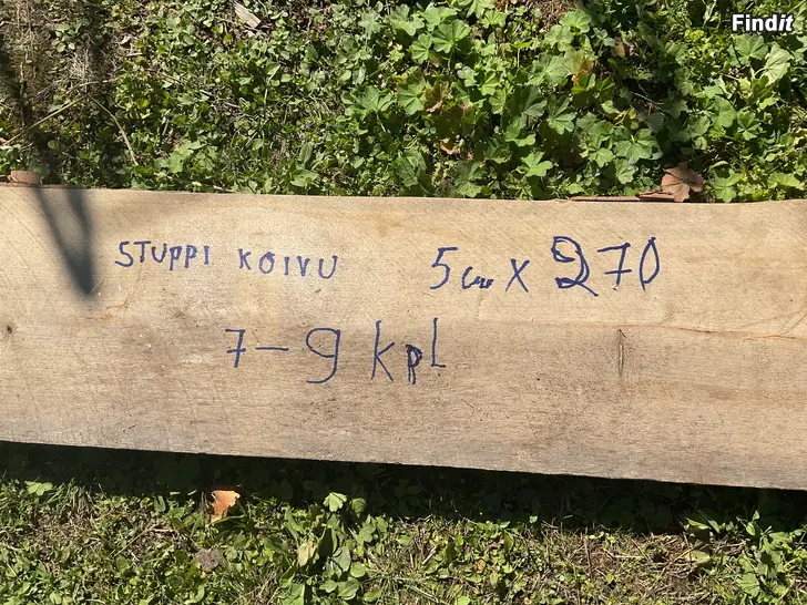Myydään Kuivaa koivua. Tuppen sahattua