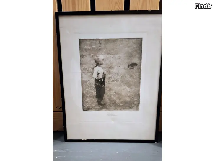 Säljes Tavla Poika ja varis