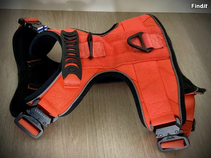 Myydään Cerberos Active -valjaat, Rescue Orange koko L, uutta vastaavat
