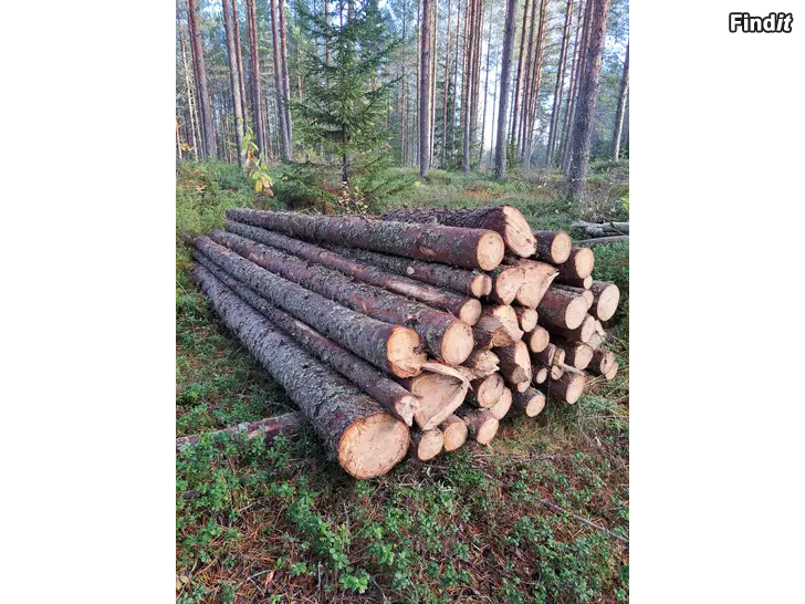Säljes 3m lång ved