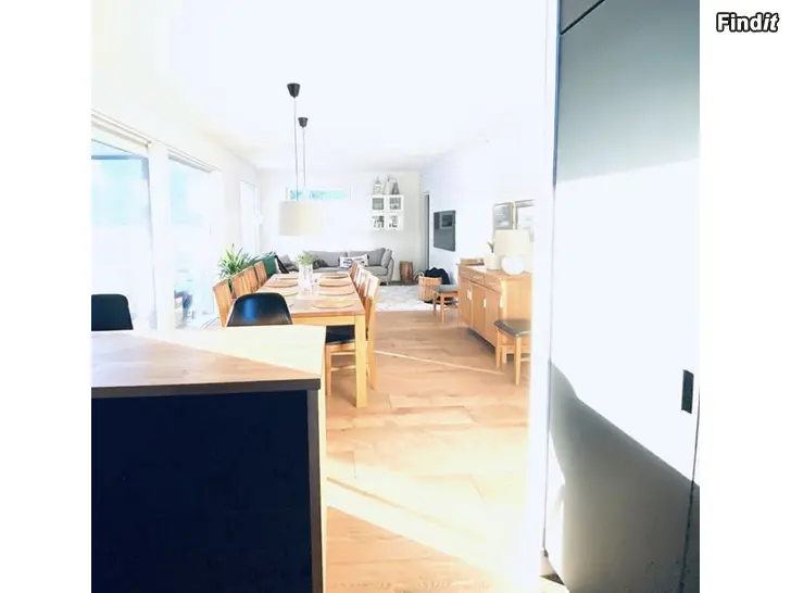 Vuokrataan Iso kaksikerroksinen asunto metsän reunalla