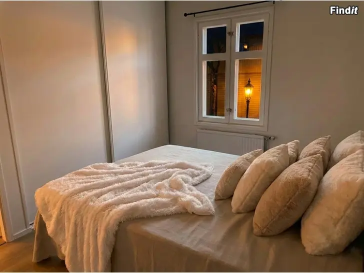 Uthyres Upea, kalustettu asunto Neristanin kupeesta