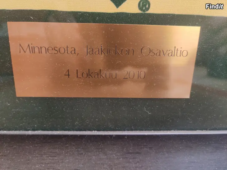 Myydään Minnesota Wilde taulu