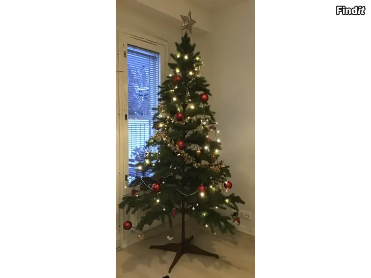 Säljes Julgran med fot