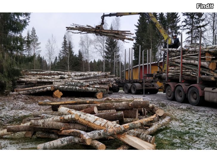 Myydään Kuivaa Polttopuuta