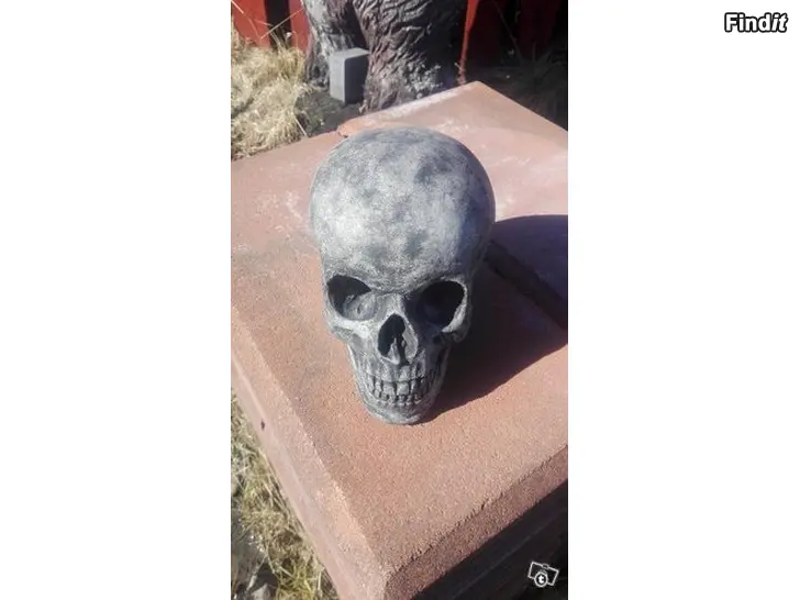 Myydään Pääkalloja