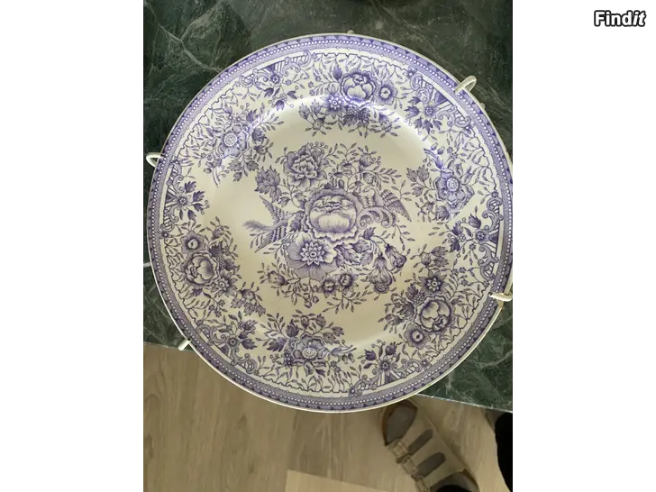 Säljes Arabia Fasan