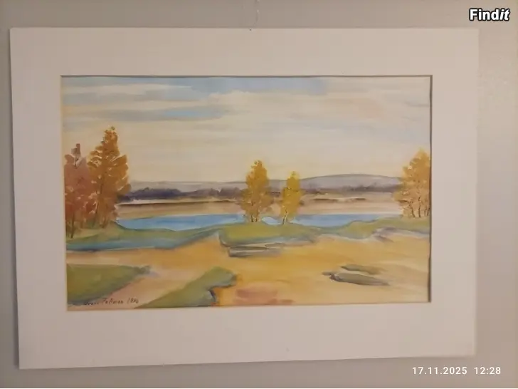 Myydään Jouko Peltosen vesivöritöitä