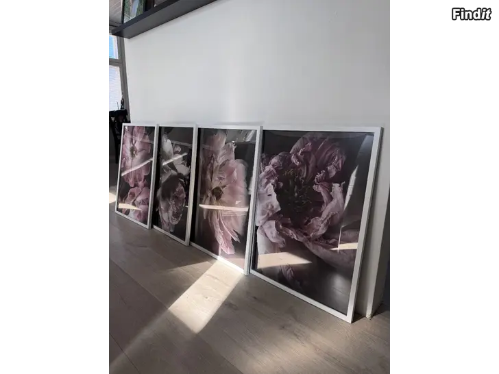 Säljes 4 stora tavlor