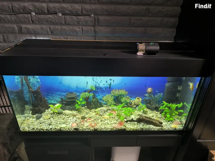 Säljes Akvarium 240L