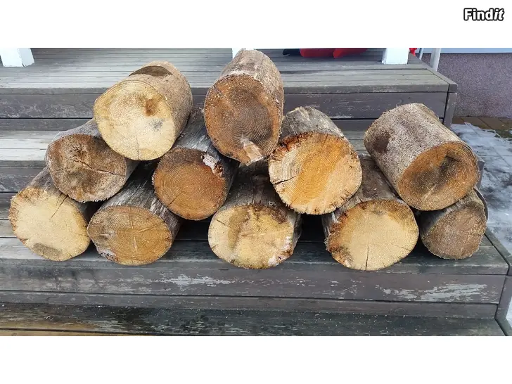Myydään Kelottunut puupölkky kuusi 11kpl 30e