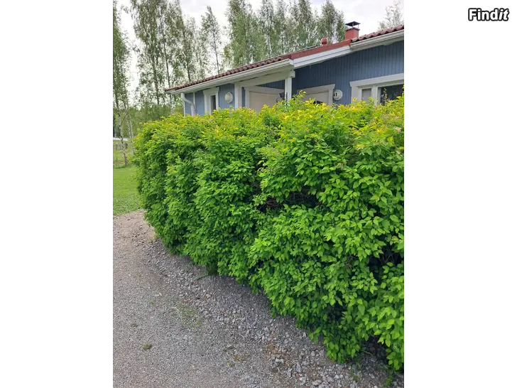 Säljes Säljes parhus lägenhet i Korsholm