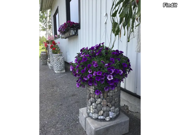 Säljes Blomster. GABIONER