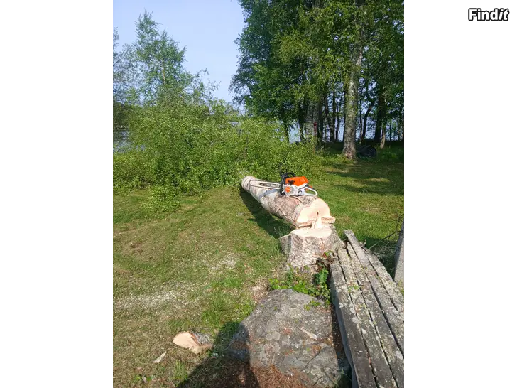 Säljes Fällning av problemträd/Ongelmapuiden kaato