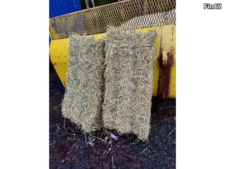Säljes Skulltorkat hästhö till salu