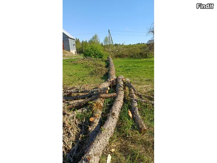 Myydään Lehtikuusi