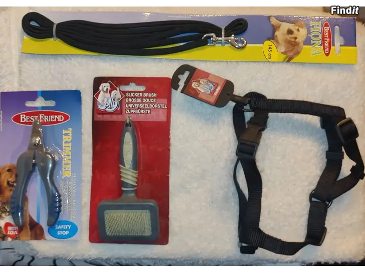 Myydään Pienen koiran/pennun/kissan remmi / valjas ja hoitosetti