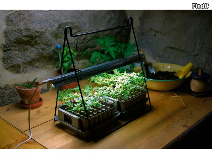 Säljes Nelson garden 60cm växtlampa med ställning