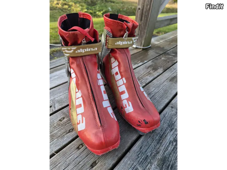 Säljes Alpina Elite Skate skidskor stl 43