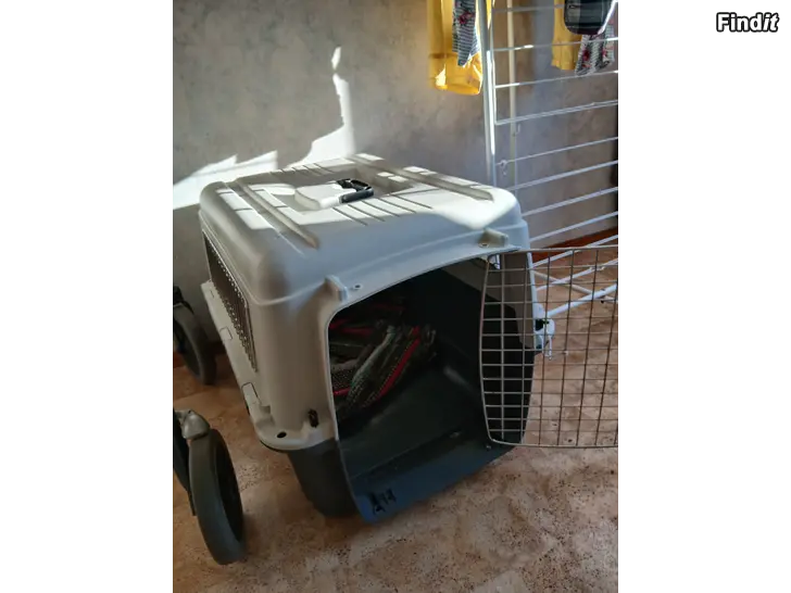 Säljes Stor och rymlig transportbur för hund/katt