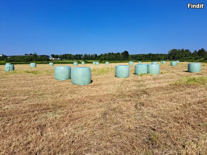Säljes Torrhö i rundbalar