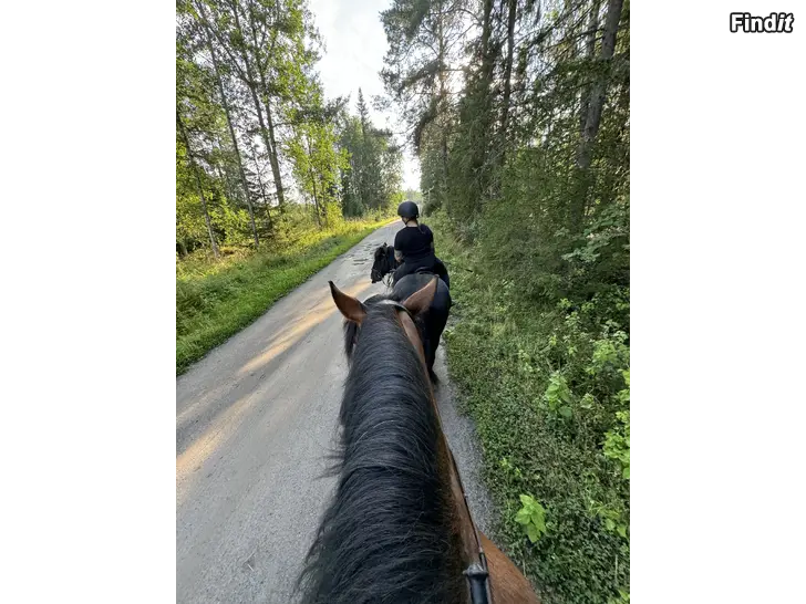 Säljes Terrängtur