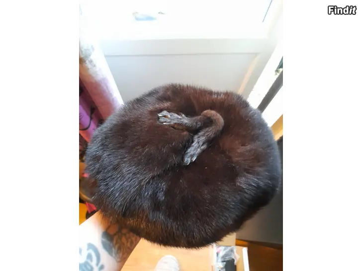 Myydään Turkishattu