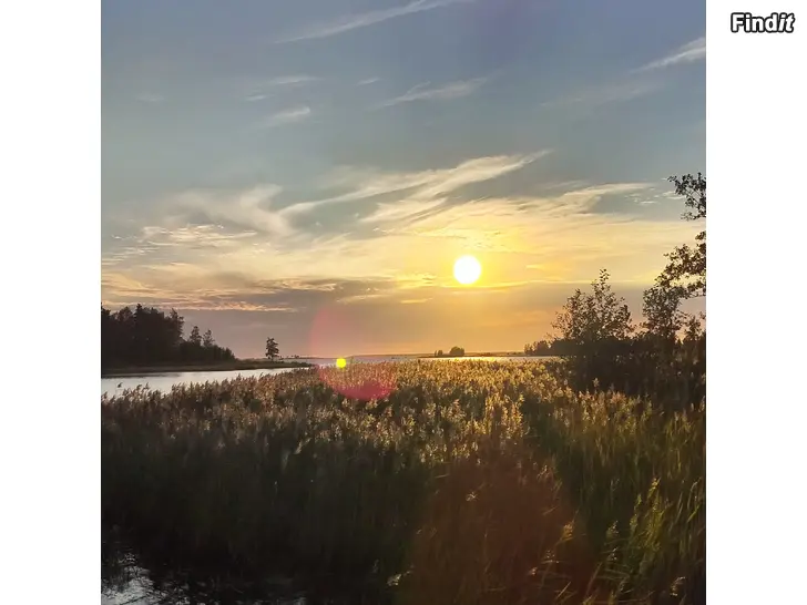 Myydään Mökki Trutören/Maalahti. Villa på Trutören/Malax