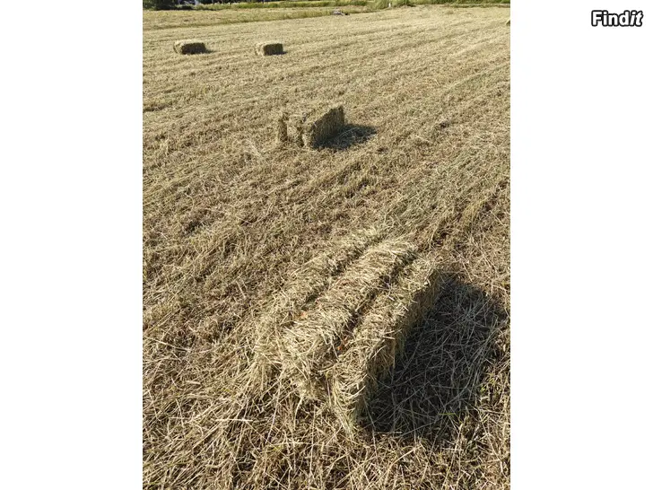 Myydään Kuivaa heinää