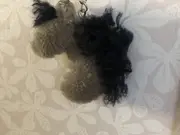 Annonsbild