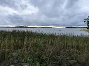 Annonsbild