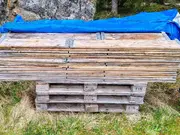 Annonsbild