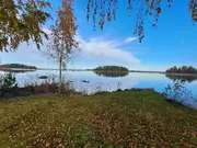 Annonsbild