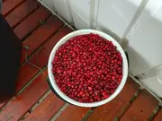 Annonsbild