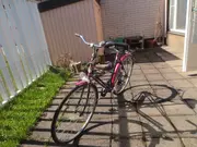 Annonsbild