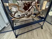 Annonsbild