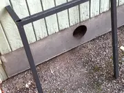Annonsbild
