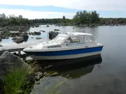 Annonsbild