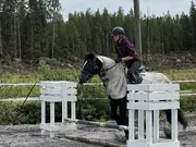 Annonsbild