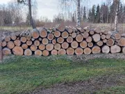 Annonsbild