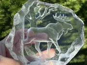 Annonsbild