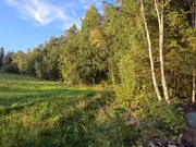 Annonsbild