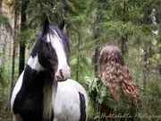 Annonsbild