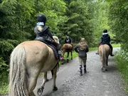 Annonsbild