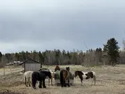 Annonsbild