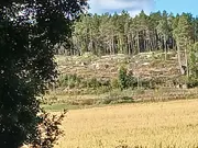 Annonsbild